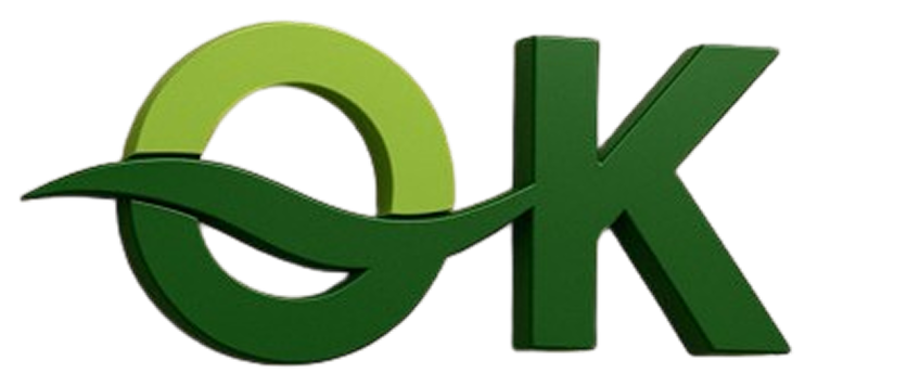 Logo OkValida